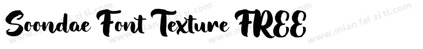 Soondae Font Texture FREE字体转换